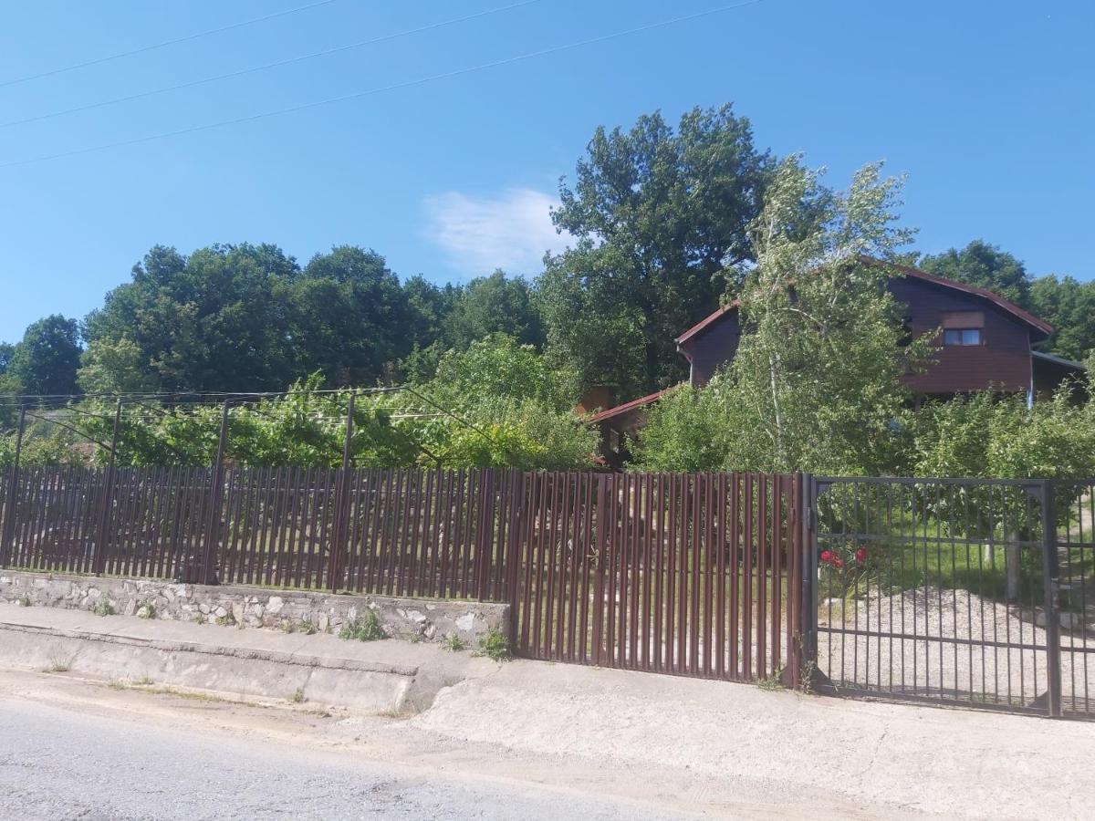 Casa Melania Villa Ieşelniţa Kültér fotó