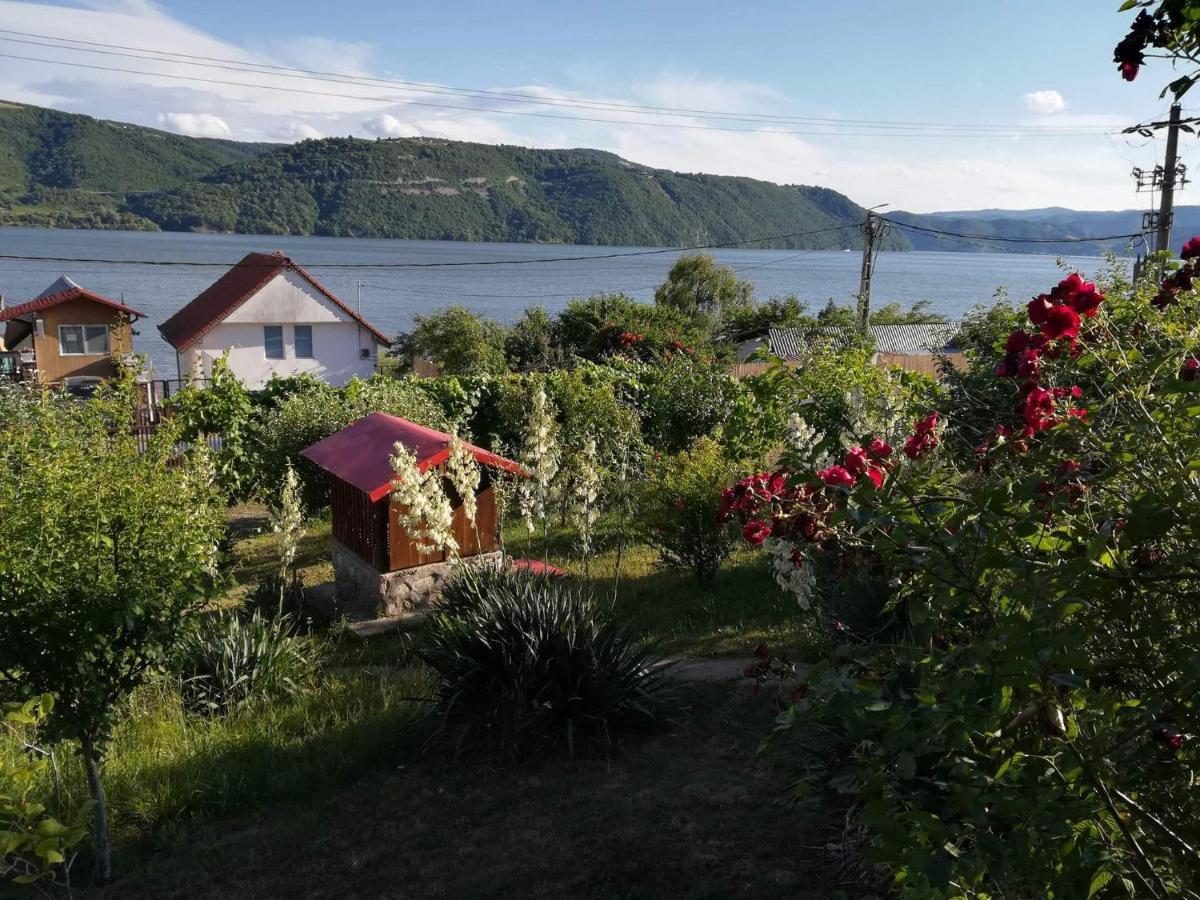 Casa Melania Villa Ieşelniţa Kültér fotó